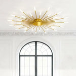 Fireworks Ceiling Lights