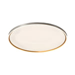 Brushed Gray Aluminum Led Ceiling Light