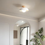 Semi Flush Ceiling Light Modern