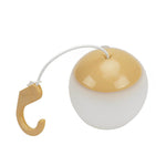 Round Led Portable Camping Light Ha085274