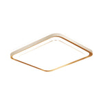 1 Light Rectangular Led Flush Mount Ceiling Light