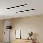 Modern Minimalist Ceiling Lamp