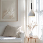 Baking Paint Iron Pendant Light