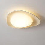 Lumatonia Ceiling Light