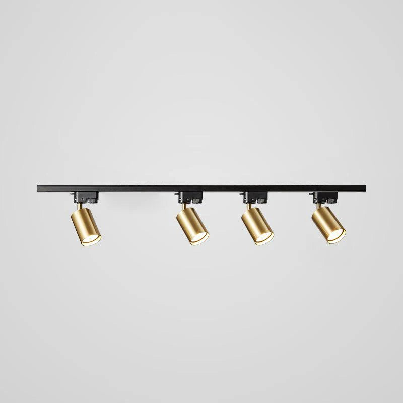Rotatable Spotlights Ceiling Light