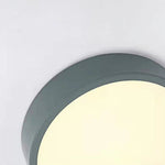 Lumi Cluster Acrylic Ceiling Light
