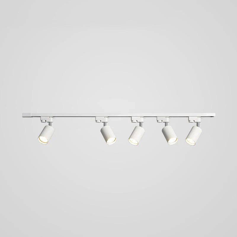 Rotatable Spotlights Ceiling Light