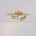 Adjustable Wall Spotlight