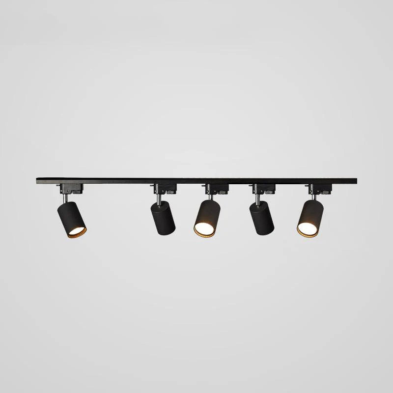 Rotatable Spotlights Ceiling Light