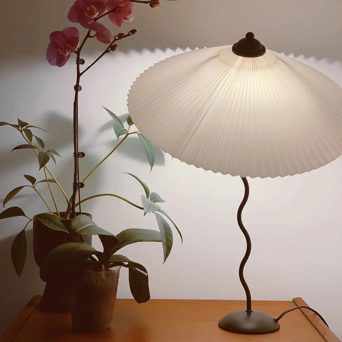 Linea Curva Table Lamp