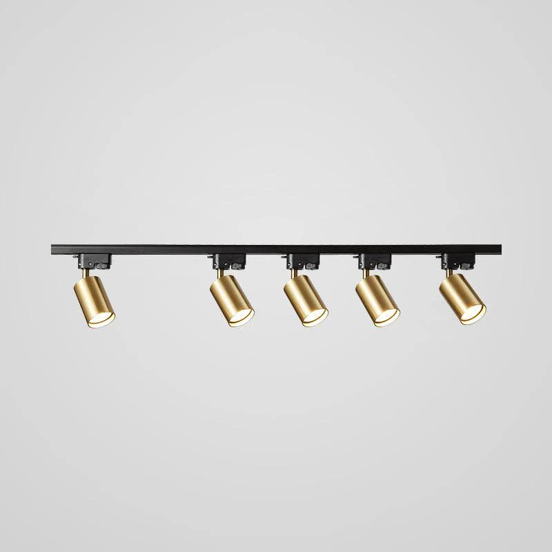 Rotatable Spotlights Ceiling Light