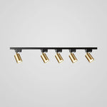 Rotatable Spotlights Ceiling Light