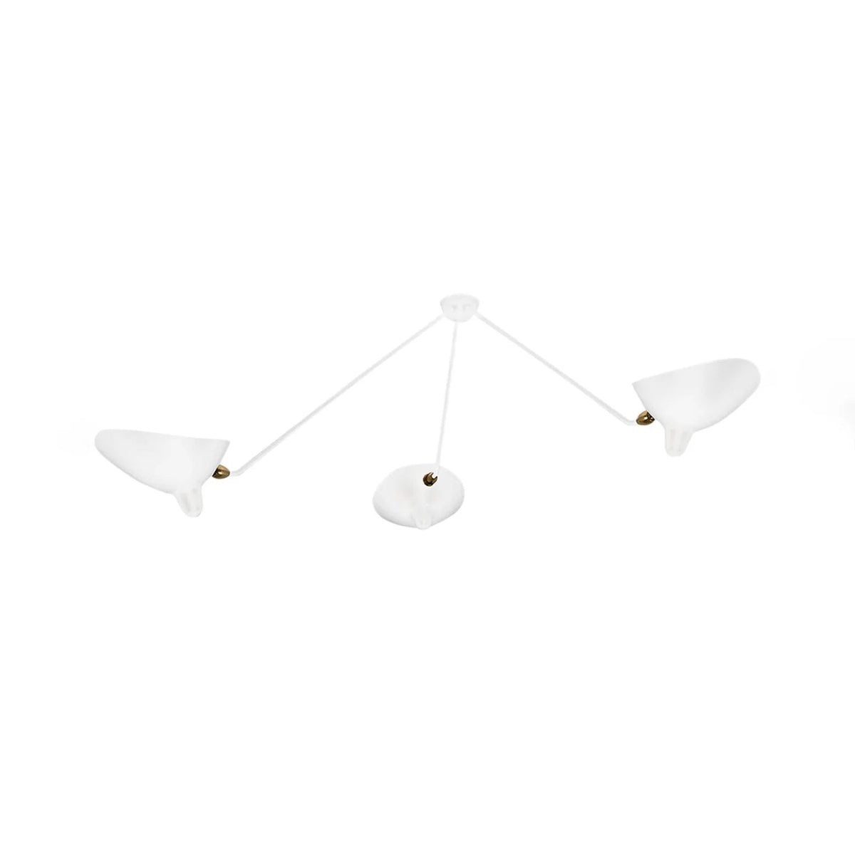 Celestial Curve Ceiling Light