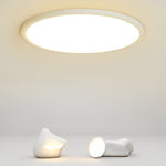 Lighting Ceiling Lights Flush Mount Lighting_Tli00236
