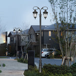 2 Head Led Black Street Light Li002483