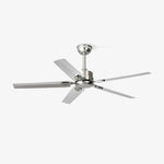 Rozzen Ceiling Fan