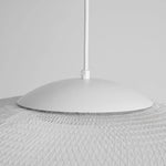 Filament Mesh Pendant Light