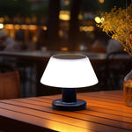 Modern Solar Powered Indoor Outdoor Lamp
