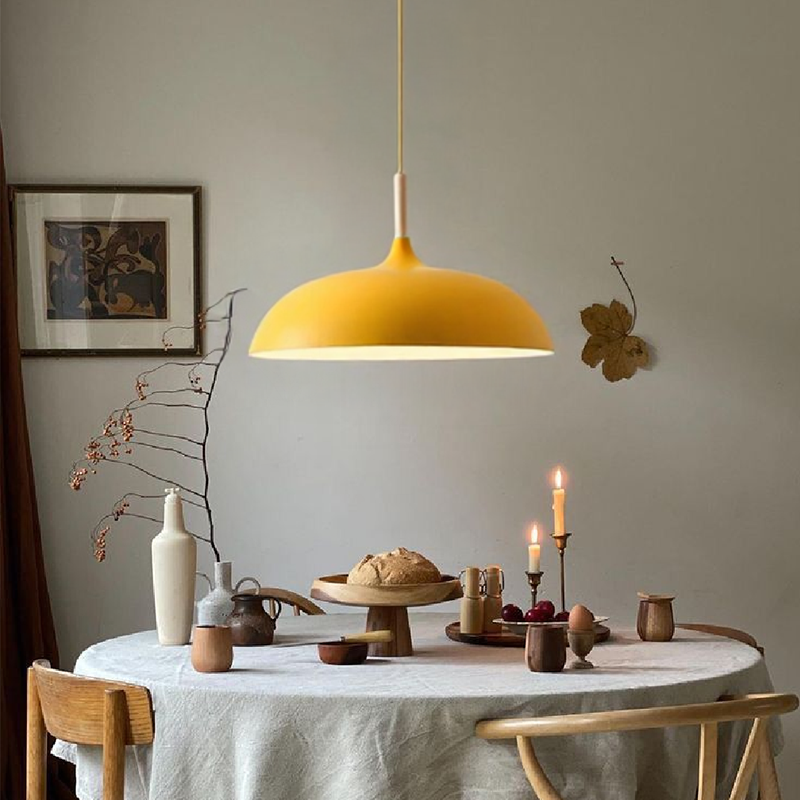 Modern Simple Dome Pendant Light