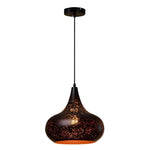 Iron E27 Black Retro Industrial Pendant Light