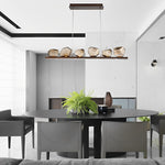 Irregular Modern Chandelier Ha098593
