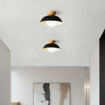 Semi Flush Ceiling Light Modern