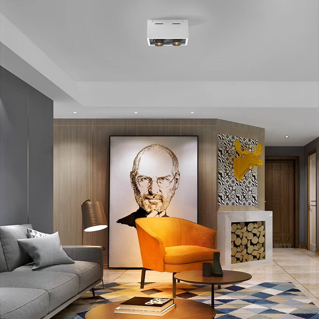 Modern Rectangular LED Surface Mounted Spotlights, Adjustable 2-Light Ceiling Fixture