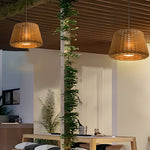 Ralph 1 Light Outdoor Pendant Light Led Suspension Lamp With Rattan Shade