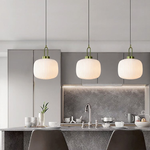 Modern Simple Clear Light Stripe Led Chandelier