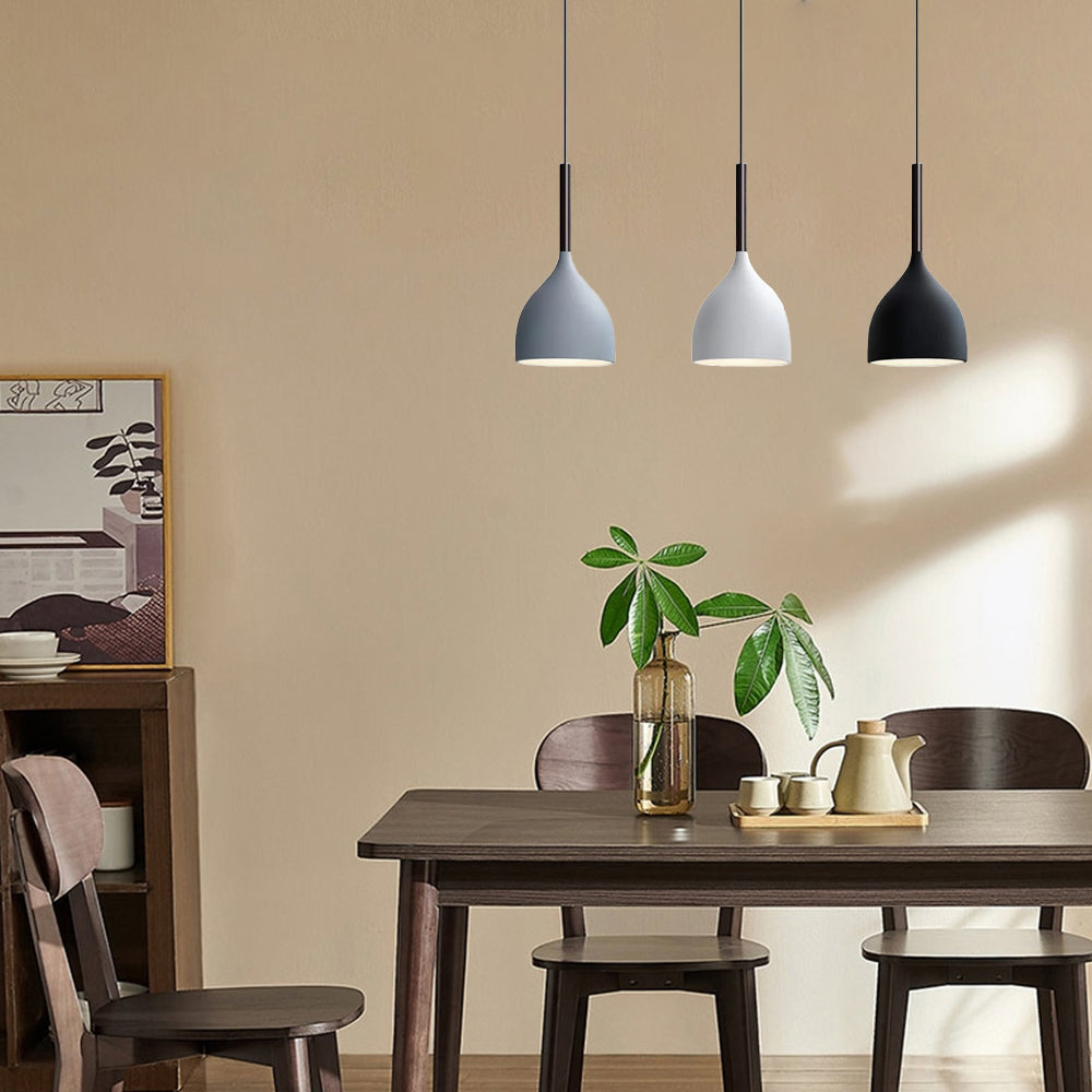 Baking Paint Iron Pendant Light