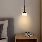 Simple Ball Luxury Nordic Pendant Light Li002482