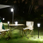 Solar-Powered Motion Sensor Lawn Lights, Set of Two – Modern Landscape Lighting