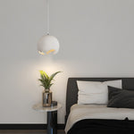 Ball Japanese Style Pendant Light Ha089349