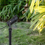 10W Black Adjustable Modern Tree Spotlight Ha089412