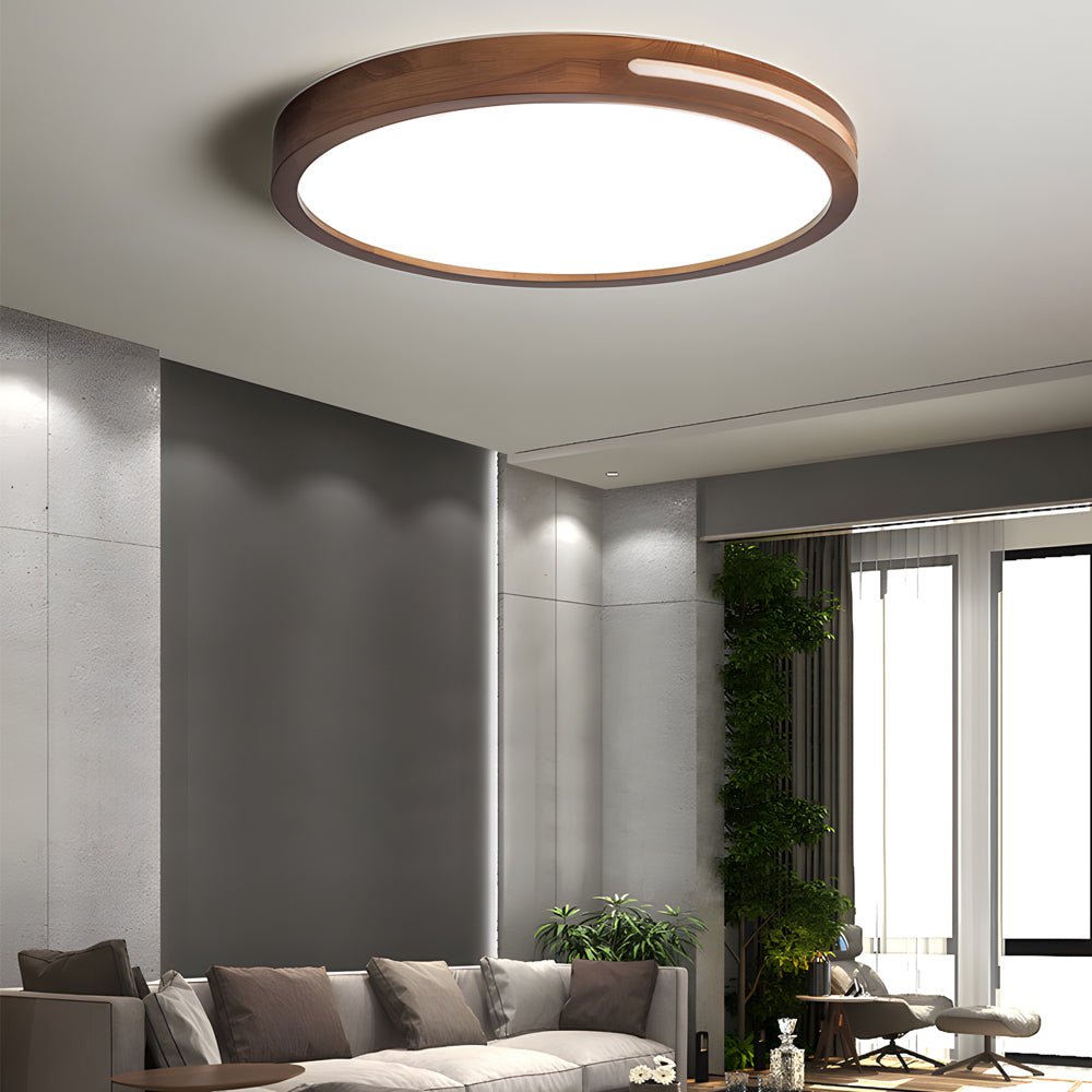 Round Retro Ceiling Lights Fixture Li002663