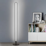 Modern Minimalist Led Standing Oval Floor Lamp