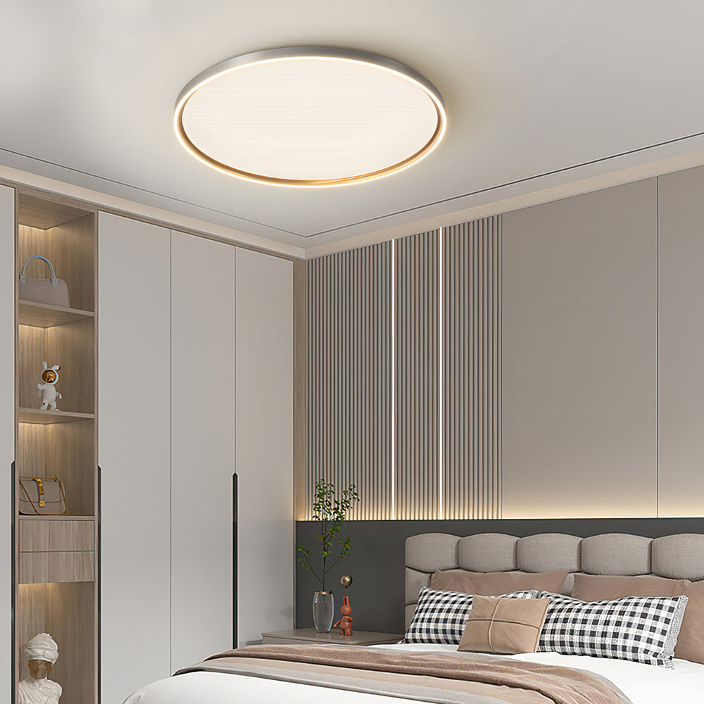 Brushed Gray Aluminum Led Ceiling Light