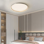 Brushed Gray Aluminum Led Ceiling Light