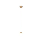 Brassform Pendant Light