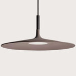 Chic Large Pendant Light