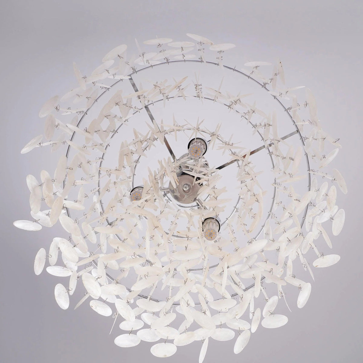 Halo Shell Chandelier
