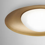 1 Light Round Led Flush Mount Ceiling Light