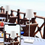 15 Inch Cordless Modern Cool Hue Metal Table Lamp Black White