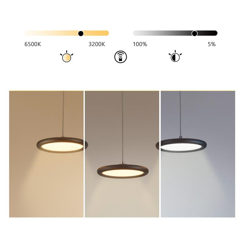Lighting Ceiling Lights Pendant Lighting_Tli00074