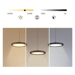 Lighting Ceiling Lights Pendant Lighting_Tli00074