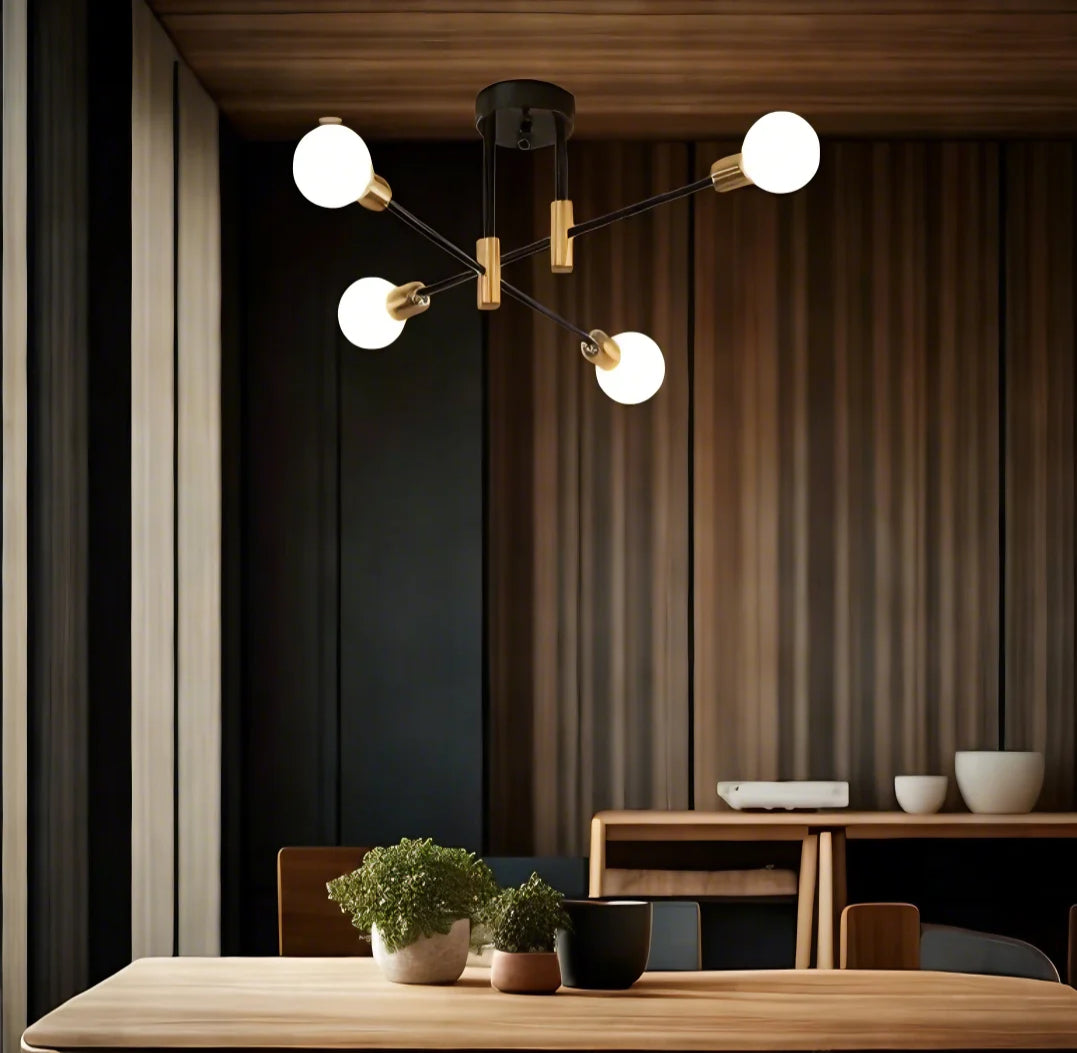 Chic Modern Led Ceiling Lamp