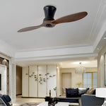 2 Blades 18W Modern Ceiling Fan Ha086021