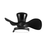 3 Blades Nordic Ceiling Fans Light Ha091532