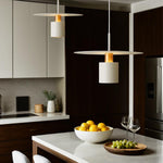 Modern Stylish Pendant Light