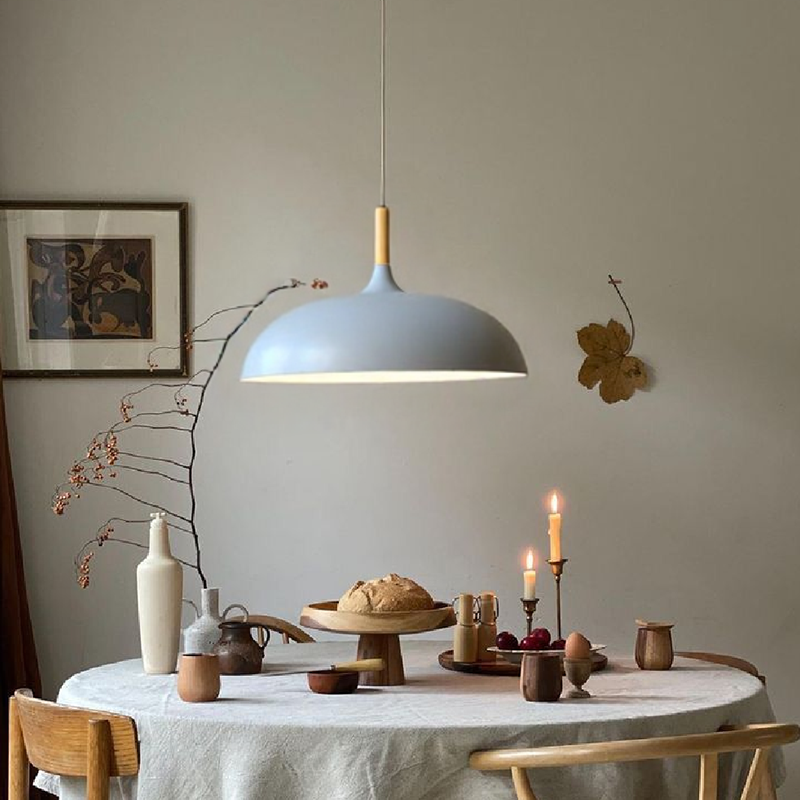 Modern Simple Dome Pendant Light